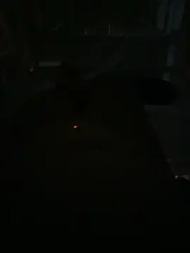 aricub online show from 22, 2, 2026