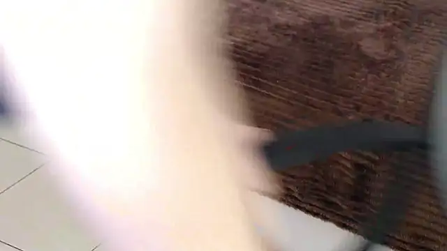 Brandy Gem online show from 19, 2, 2026