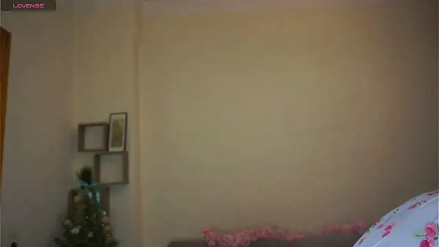 ToyaPletz online show from 4, 4, 2026