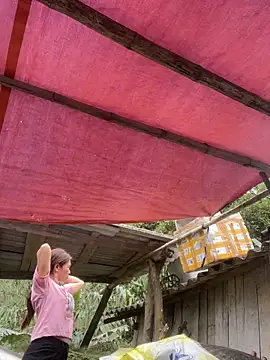 meganmeo online show from 24, 3, 2026