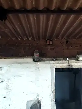 Babita Gori online show from 9, 4, 2026