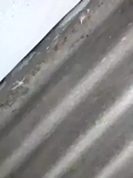 Babita Gori online show from 8, 4, 2026