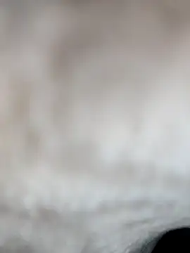 jiniya6789 online show from 15, 1, 2026