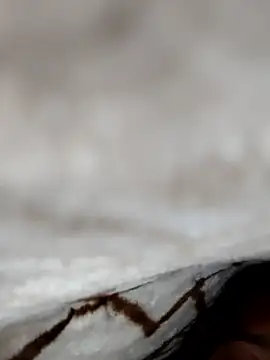 jiniya6789 online show from 9, 1, 2026