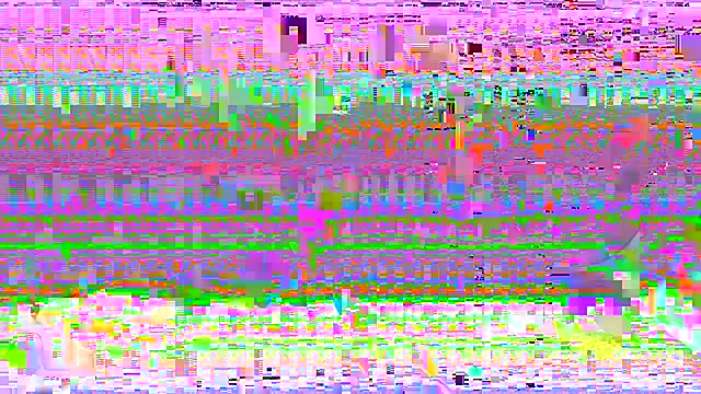 ELpatronn94 online show from 7, 8, 2026