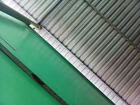 Snapshot of Lin-kute98 chatting on 7, 4, 2026 Lin-kute98 online show from 7, 4, 2026