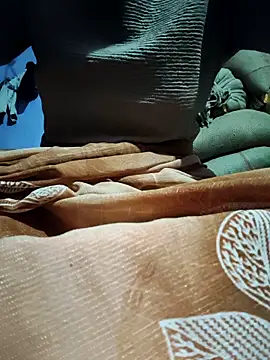 Snapshot of Punam_panjabi chatting on 5, 4, 2026 Punam panjabi online show from 5, 4, 2026