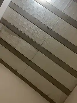 Snapshot of PartiedOmelet chatting on 23, 2, 2026 PartiedOmelet online show from 23, 2, 2026