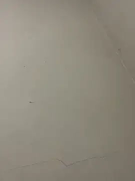 Snapshot of PartiedOmelet chatting on 13, 1, 2026 PartiedOmelet online show from 13, 1, 2026