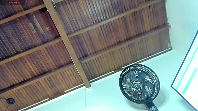 honey-lizzy online show from 13, 1, 2026