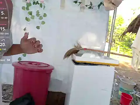 Juliet official pro online show from 14, 3, 2026