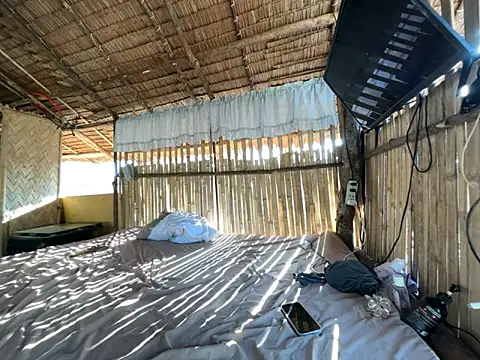 Juliet official pro online show from 3, 4, 2026