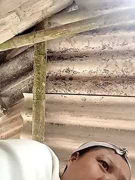 hey-bana online show from 17, 12, 2025