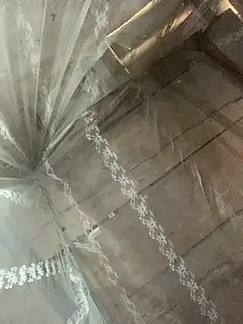 Lisa-sexyy online show from 2, 3, 2026