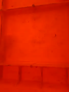 virgin cunt online show from 29, 11, 2025