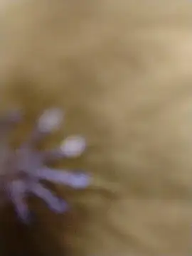 Snapshot of RASHMI_SHARMA9 chatting on 16, 2, 2026 RASHMI SHARMA9 online show from 16, 2, 2026