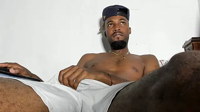 blaze panther online show from 3, 12, 2025