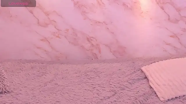 Dakota ferreti  online show from 8, 4, 2026