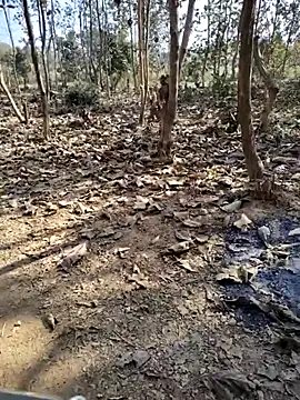 88zaifkhan88 online show from 10, 1, 2026