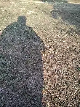 88zaifkhan88 online show from 14, 1, 2026