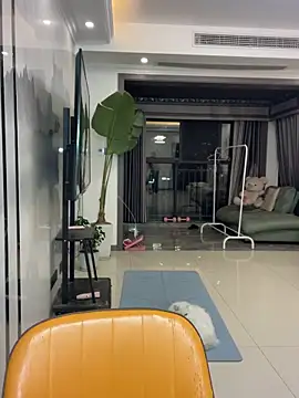 DMG-41 online show from 2, 12, 2025