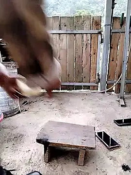 mumu661 online show from 8, 1, 2026