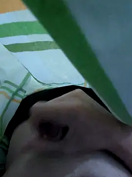 LoiroSafadinho online show from 28, 2, 2026