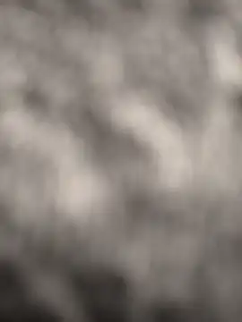 Alpaperve online show from 4, 12, 2025