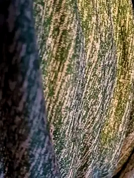 Bearclaw42069too online show from 28, 11, 2025