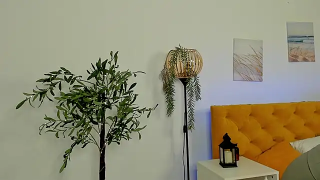 Vonen Ray online show from 4, 5, 2026