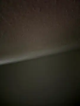 lige-8888 online show from 29, 11, 2025