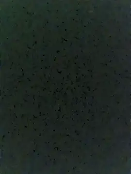 Sexyland0007 online show from 27, 11, 2025