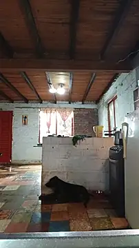 ChanneldelaCroix online show from 12, 3, 2026