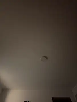 Dafne se online show from 3, 4, 2026