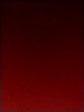 esterfour40 online show from 30, 11, 2025