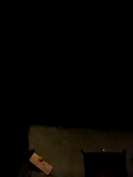 LeoPet2x online show from 11, 2, 2026