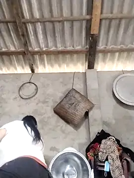 LeoPet2x online show from 28, 3, 2026