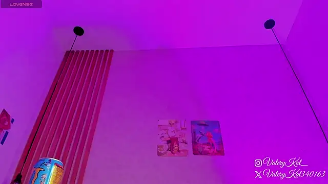 Snapshot of Valerykat_ chatting on 13, 2, 2026 Valerykat online show from 13, 2, 2026