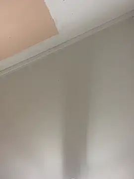 gat0 gata online show from 29, 11, 2025