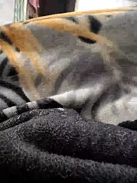 TwinklyBasket897 online show from 14, 12, 2025