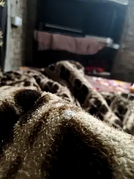 NEW CPL786 online show from 5, 12, 2025