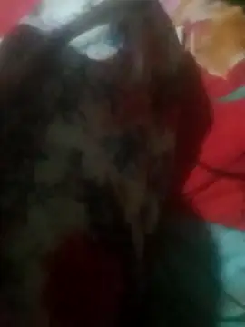 qeen3321 online show from 29, 11, 2025