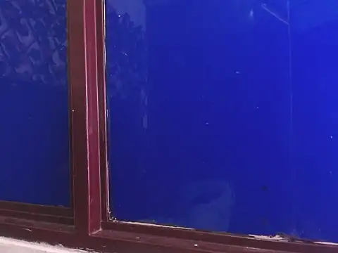 vrositaper online show from 1, 12, 2025