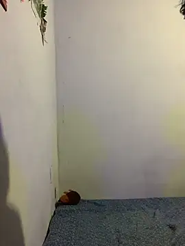 Arely-L1 online show from 9, 2, 2026