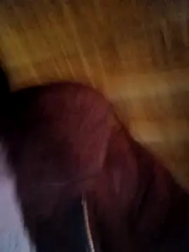 Evelyn-n online show from 11, 2, 2026