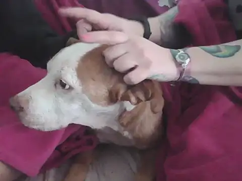 Darkytah online show from 20, 2, 2026