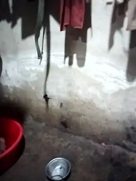 iam-eli online show from 14, 1, 2026