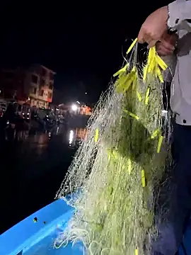 A-ZJunn online show from 8, 1, 2026