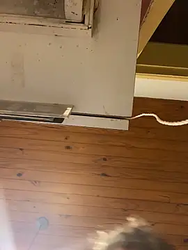 Petebulimia online show from 23, 2, 2026