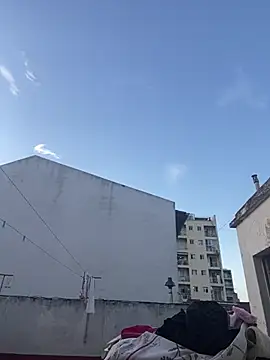 Petebulimia online show from 1, 2, 2026